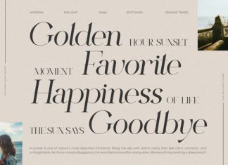 Fostela Actions || Modern Classy Serif Font preview image 3