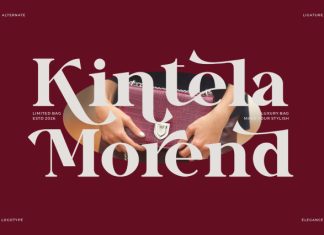 Kirlov Qurla || Modern Elegant Serif Font preview image 3