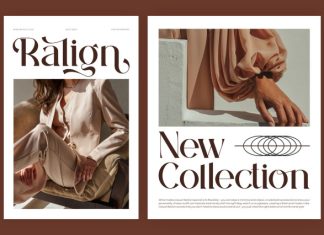 Nulaye || Modern Classy Serif Font preview image 3