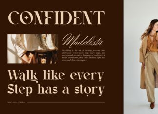 Ralons || Modern Classy Serif Font preview image 3