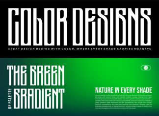 Saneoz || Modern Condensed Display Font preview image 3