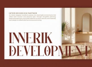 Vendita || Modern Elegant Serif Font preview image 3