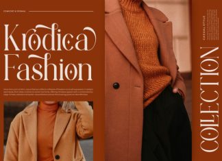 Welorac || Modern Classy Serif Font preview image 3