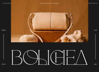 Comeback || Modern Classy Serif Font preview image 3