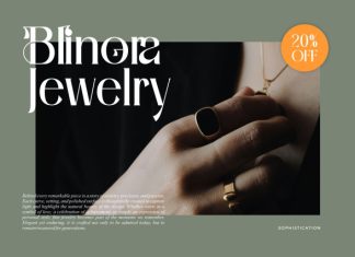 Zalino || Modern Classy Serif Font preview image 3