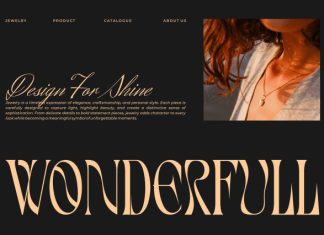 Rewona || Modern Elegant Serif Font preview image 3