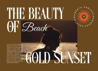 Dezonne || Modern Elegant Serif Font preview image 3