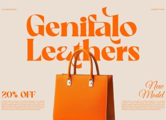 Aglafe || Elegant Strong Serif Font preview image 3