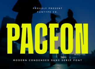 Paceon – Modern Condensed Sans Serif Font preview image 1