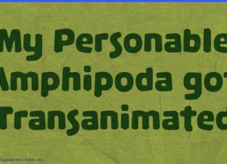 Palamecia Titling Font preview image 2