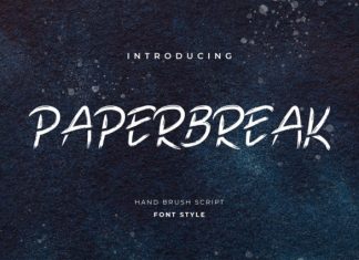Paperbreak Brush Handwritten Font preview image 1
