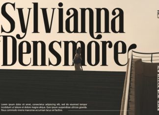 Philatera – Modern Condensed Serif Font preview image 2