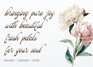 Pitholica Delicate Classic Elegant Script Font preview image 3