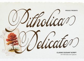 Pitholica Delicate Classic Elegant Script Font preview image 1