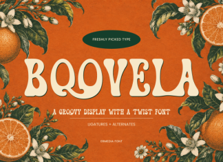 Boovela || Retro Groovy Display Font preview image 1