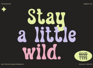 Boovela || Retro Groovy Display Font preview image 2