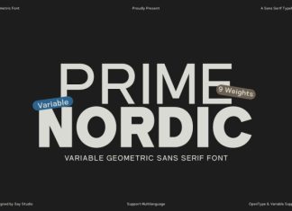 Prime Nordic Font preview image 1