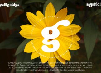 Puffy Chips – Retro Typeface Font preview image 3