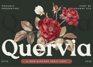 Quervia Elegant Serif Font preview image 1