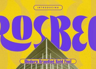 ROSBEG – Modern Branding Bold Font preview image 1
