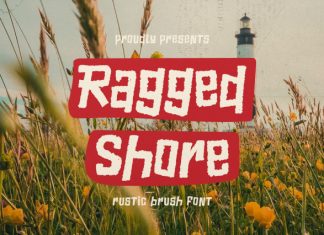 Ragged Shore Rustic Brush Font preview image 1