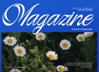 Ranoa Scaloth Handwritten Script Font preview image 3
