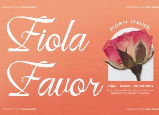 Ranoa Scaloth Handwritten Script Font preview image 2