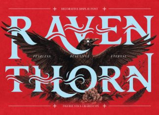 Raventhorn Decorative Vintage Serif Font preview image 1