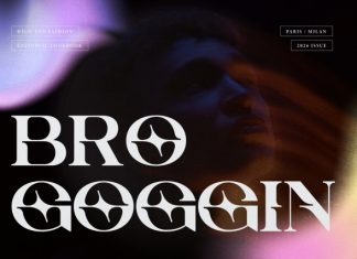 Reca Luno Display Serif Font preview image 3
