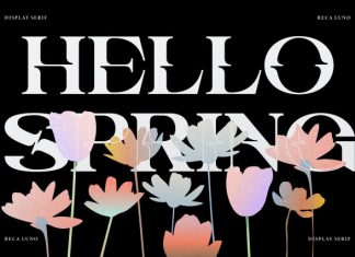 Reca Luno Display Serif Font preview image 2