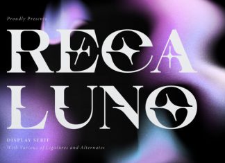 Reca Luno Display Serif Font preview image 1