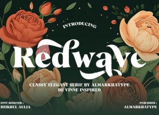 Redwave – Stylish Serif Font preview image 1