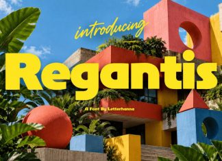 Regantis Font preview image 1