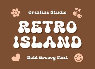 Retro Island – Bold Groovy Font preview image 1