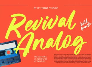 Revival Analog – Bold Brush Font preview image 1