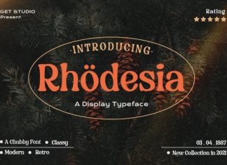 Rhodesia – Retro Serif Font preview image 1