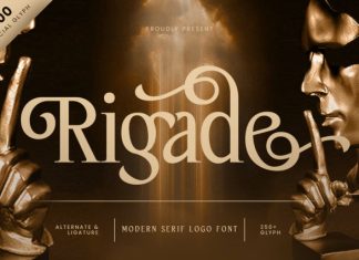 Rigade Font preview image 1