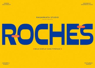 Roches – Bold Food Branding Font preview image 1