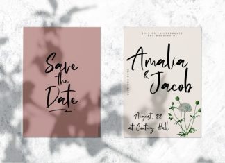 Rollakisse – Stylish Signature Script Font preview image 3