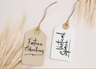 Rollakisse – Stylish Signature Script Font preview image 2