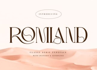 Romland – Classy Serif Font preview image 1