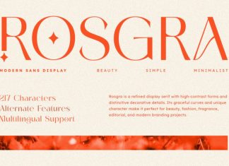 Rosgra – Modern Sans Display Font preview image 1