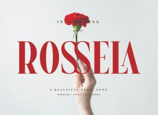 Rossela – Beautiful Serif Font preview image 1