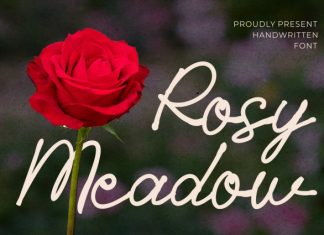 Rosy Meadow Handwritten Font preview image 1