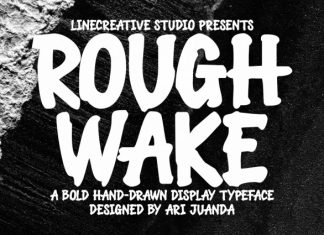 Roughwake Display Font preview image 1