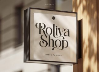 Roulen Atelier – Elegant Serif Font preview image 3