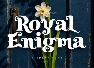 Royal Enigma Font preview image 1