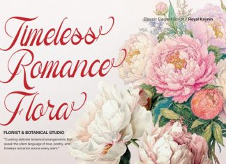 Royal Kaynin Classic Elegant Script Font preview image 3