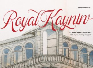 Royal Kaynin Classic Elegant Script Font preview image 1
