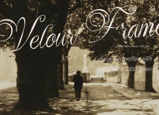 Rustaliya Classic Elegant Script Font preview image 3